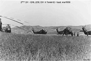 204- ARMEE DE L'AIR EN ALGERIE 1945-1962-52 (141)